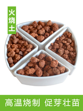 高温烧制火烧土兰花石铺面石红土颗粒营养土陶粒珍珠岩兰园火山石
