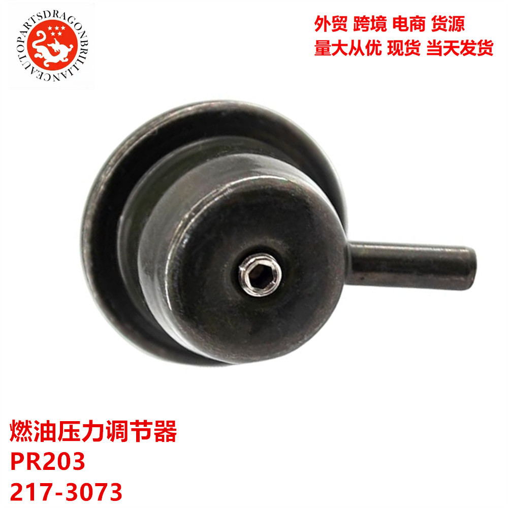 Regulador de presión de combustible transfronterizo PR203 217-3073 PR203 PR217 FP10021 FP10075