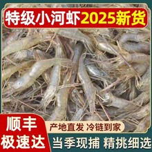 8��С���r��ˮ�r��������r���r���rˮ�aС�r���rС���rС���r