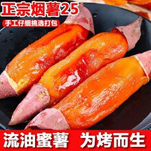 【烟薯25号】5斤装红薯山东糖心流油蜜薯新鲜番薯农家自种地瓜