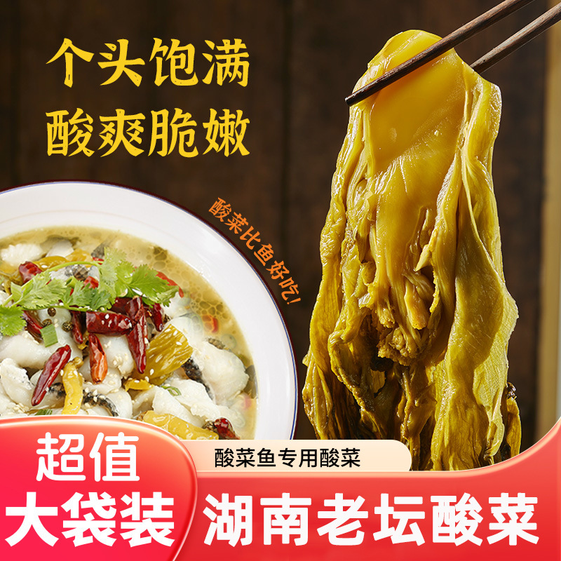 湖南特产小叶酸菜芥菜餐饮商用批发腌制菜老坛酸菜鱼酸咸适中批发|undefined