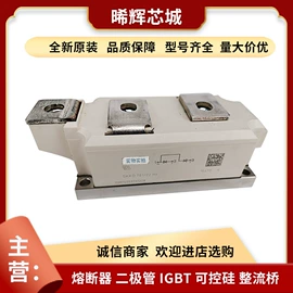 普通晶闸管;IGBT模块;其他二极管