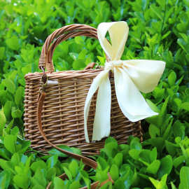 2025新复古草编包手提小方包藤编包 女式手提包 复古菜篮子柳编包