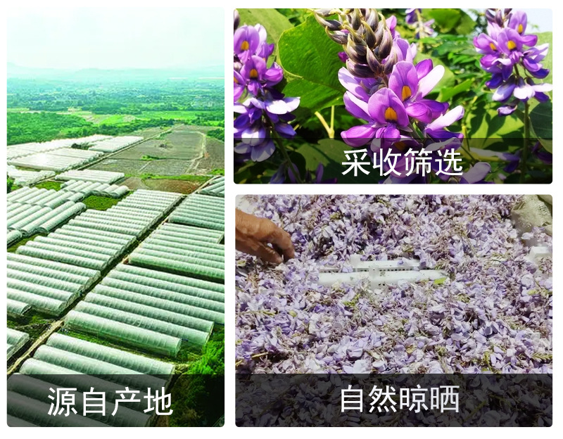 Ge Hua (Pueraria lobata Flower) — Dried Kudzu Flower for Cold-Brew Herbal Tea, 500g in use