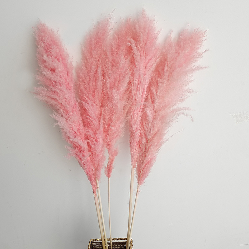 (17)5 꽃 스파이크 70-80cm 전체 길이 약 140cm