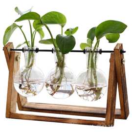 创意植物水培花瓶墙面简约挂件玻璃绿萝架水培器皿小花瓶桌面摆件