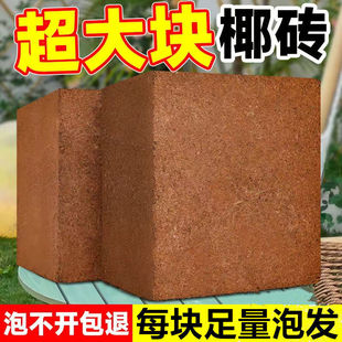 �ش�̖���ݰlͨ�����B��Ҭ�uҬ���B������Ҭ�u�o�}�N�������o��9