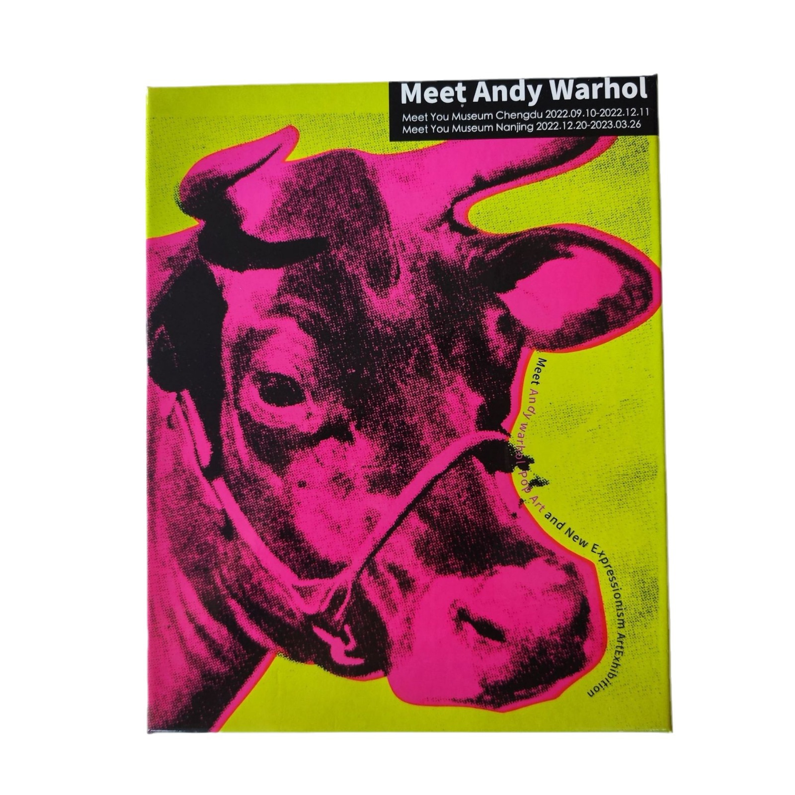 Cross-border Bestseller New Creative 3D Thickened Hardcover Puzzle 100 Pieces By Andy Warhol, USA_voghion.com