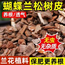 �����m���ɘ�Ƥ�����m���l�͸������[ֲ��ʯ���¼�ͨ�àI�B��