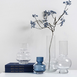 Irregular Curved Transparent Glass Vase Living Room Model Room Hydroponic Flower Device Simple Home Decoration Ornaments