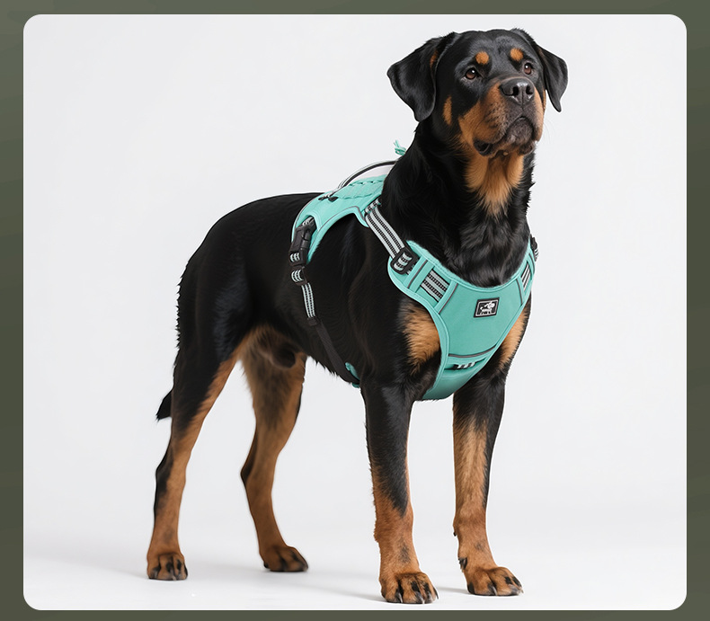 Tactical Dog Harness And Leash Set For Medium And Large Dogs_voghion.com
