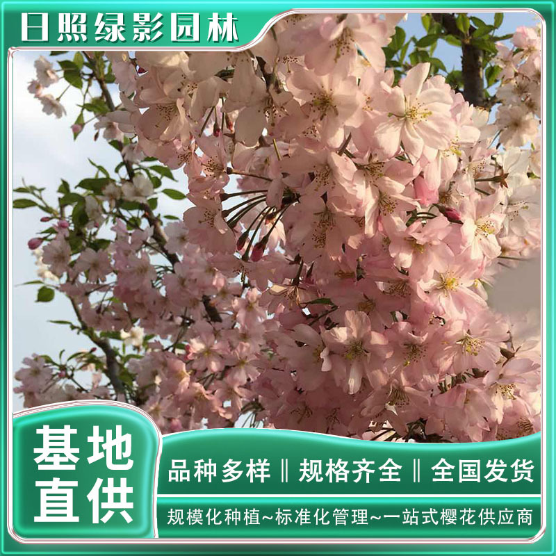 14844204631372644794 副本.jpg