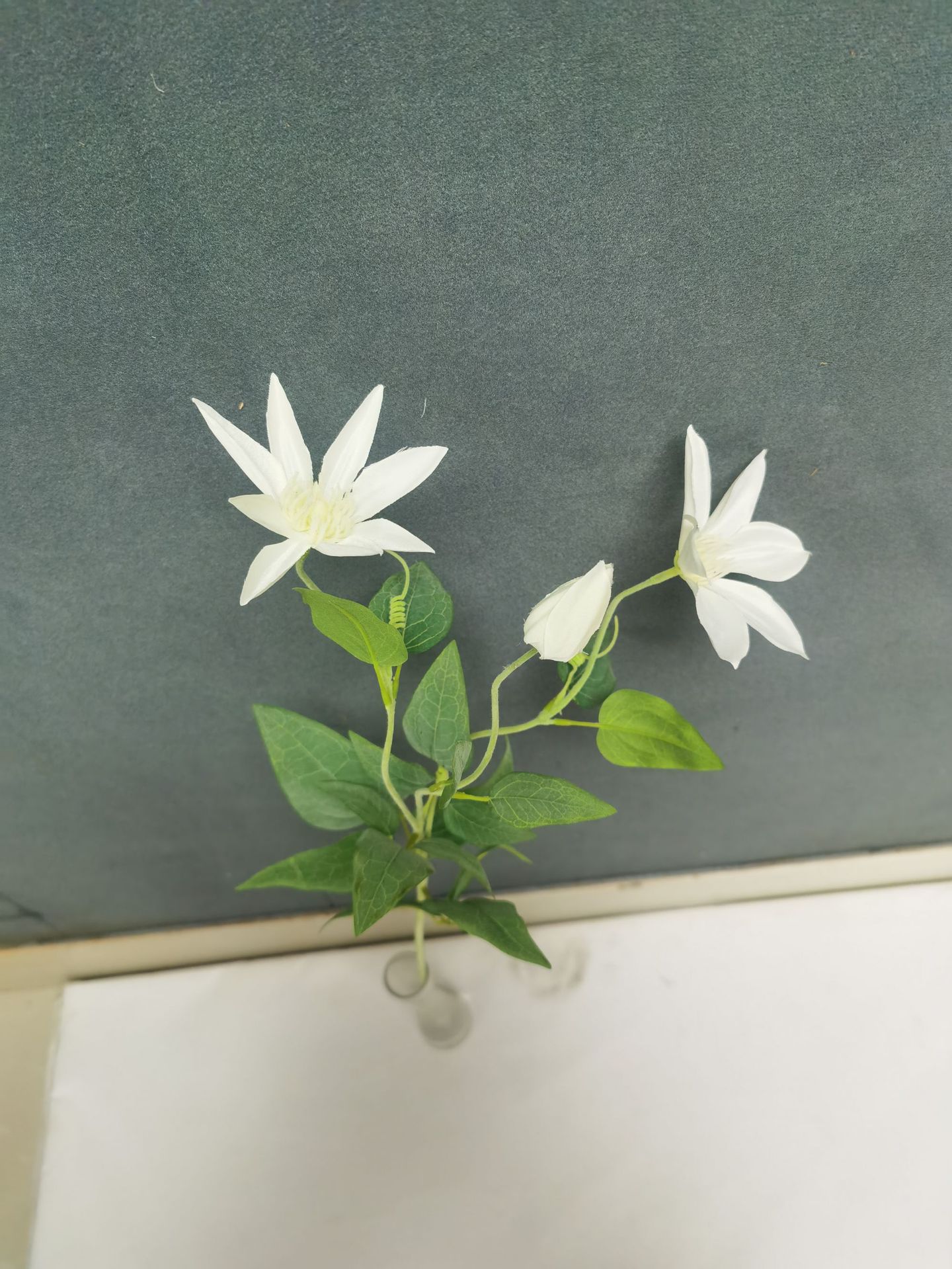 微信图片_202212141114032