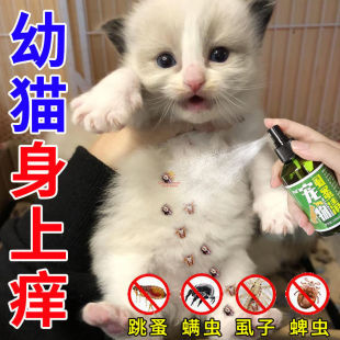 ����ȫ��������؈؈���w����xС؈ȥ��ʭ���������x��x����