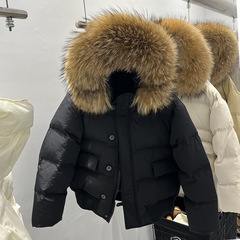韩版冬季大毛领羽绒棉服青少年女童加厚保暖棉衣短款休闲棉袄外套