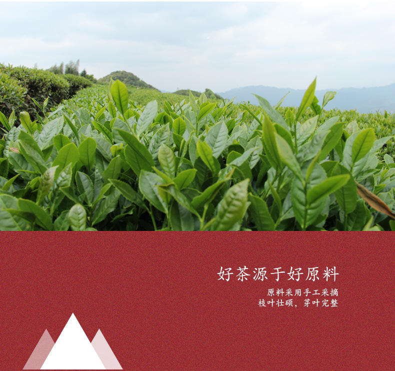 Wood material 11_03 jpg