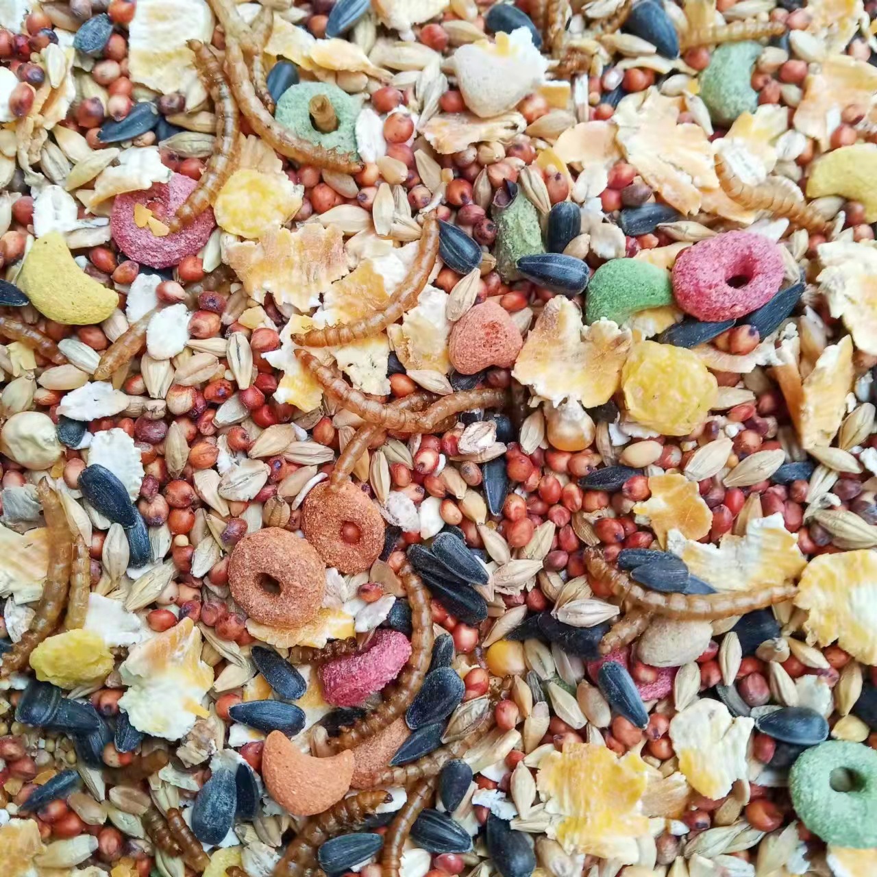 微信图片_20221008215429