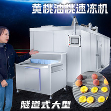 商用黄桃油桃水蜜桃速冻机 全自动面食隧道式速冻设备 水果冷冻机
