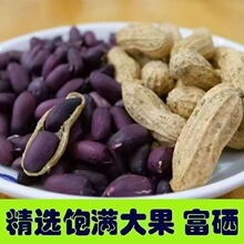 �����ڻ�����Ʒ��Ϻڻ����������»��������Bθ���������l���l