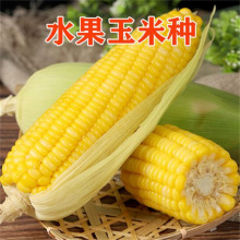 ˮ׷NճŴ׷N߲ļNֲ]_N