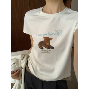 TG �ɐ���ϵС����ӡ�����m�H�w�������T��2026���¿�����26428