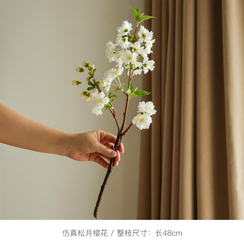 마츠츠키 사쿠라 화이트