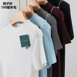 扬子纱精纺100细羊毛半高领针织短袖T恤打底衫女修身通勤薄毛衣潮