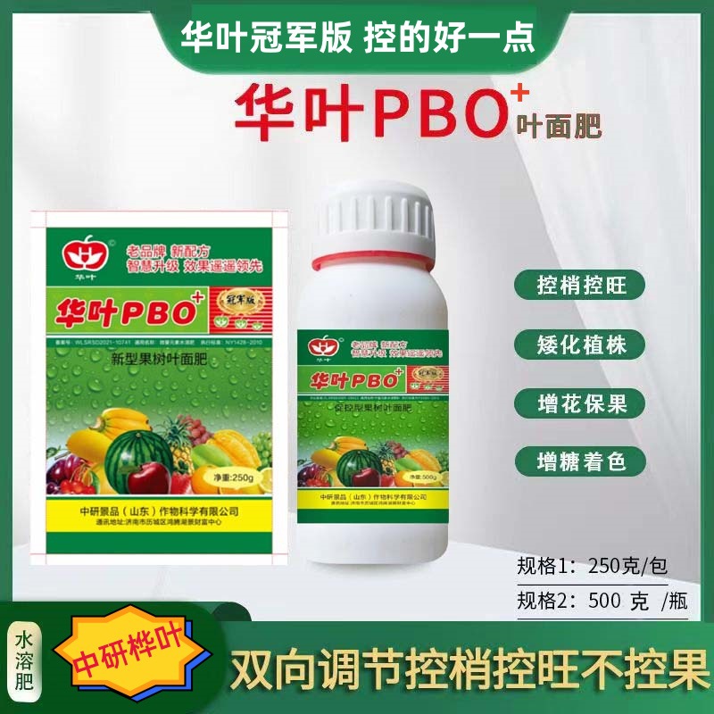中研桦叶pbo果树促控剂控梢控旺长促进花芽分化叶面控旺专家