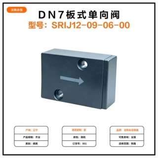 DN7板式单向阀型号SRIJ12-09-06-00铁路机车车辆配件板式单向阀