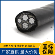 �S��YJLHVS2�X�Ͻ��i�z�b��|  �͟��o�u����ȼ�ͻ𡢰�ȫ����