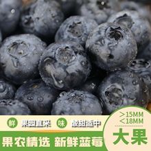 ������ɽLϵ�Ї��a�{ݮ���һ����a��ֱ�l�����oʳˮ�����S���l