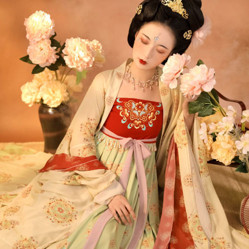  Hanfu Tang Dynasty Hanfu Fairy dress for women embroidery myrobalan skirt big Chinese wind hanfu sleeve unlined upper garment