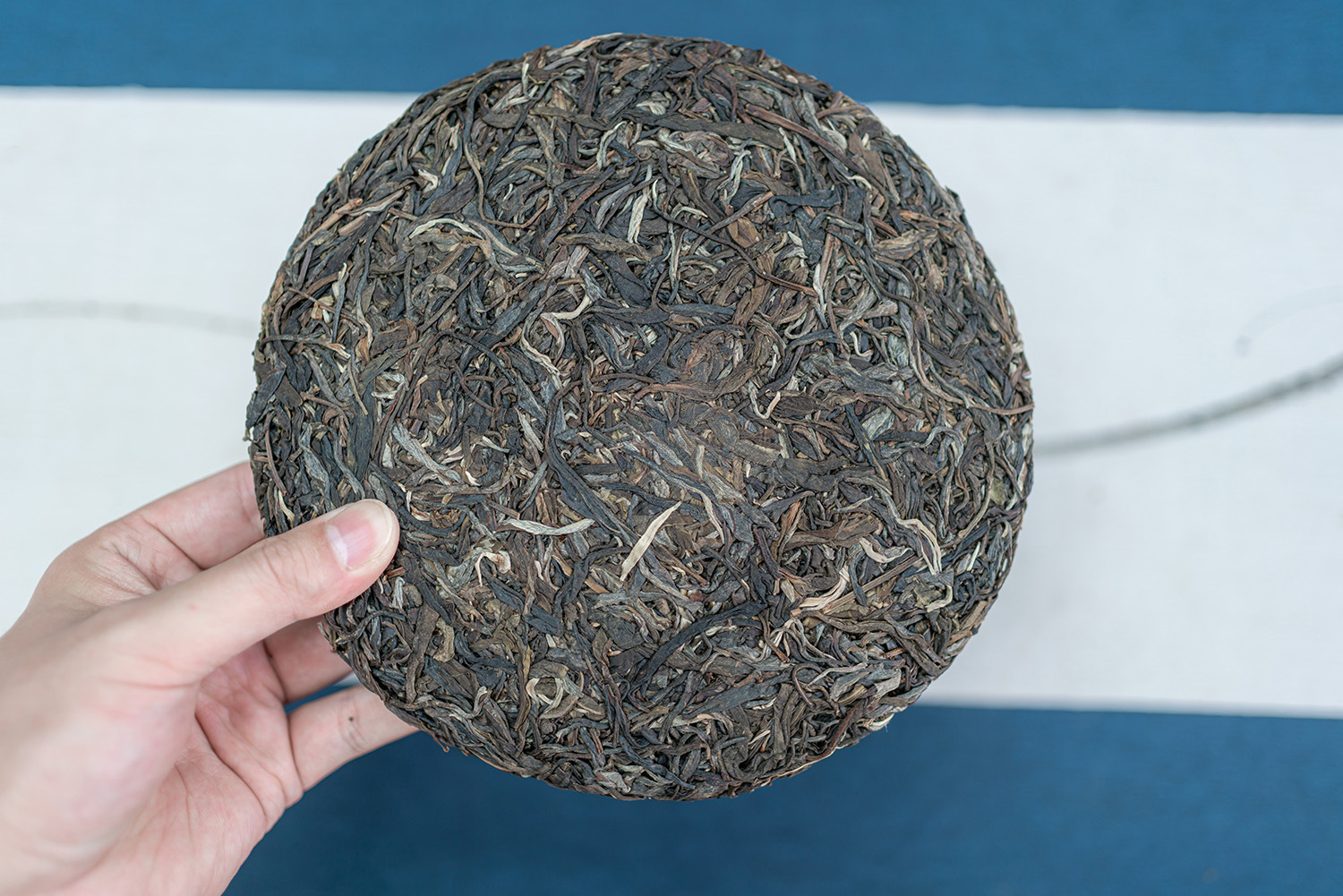 景迈玉龙绵纸 (16).jpg