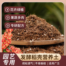 �l�͵����Nֲ�I�B���N���B����������̿������͸��ͨ���͠I�B��