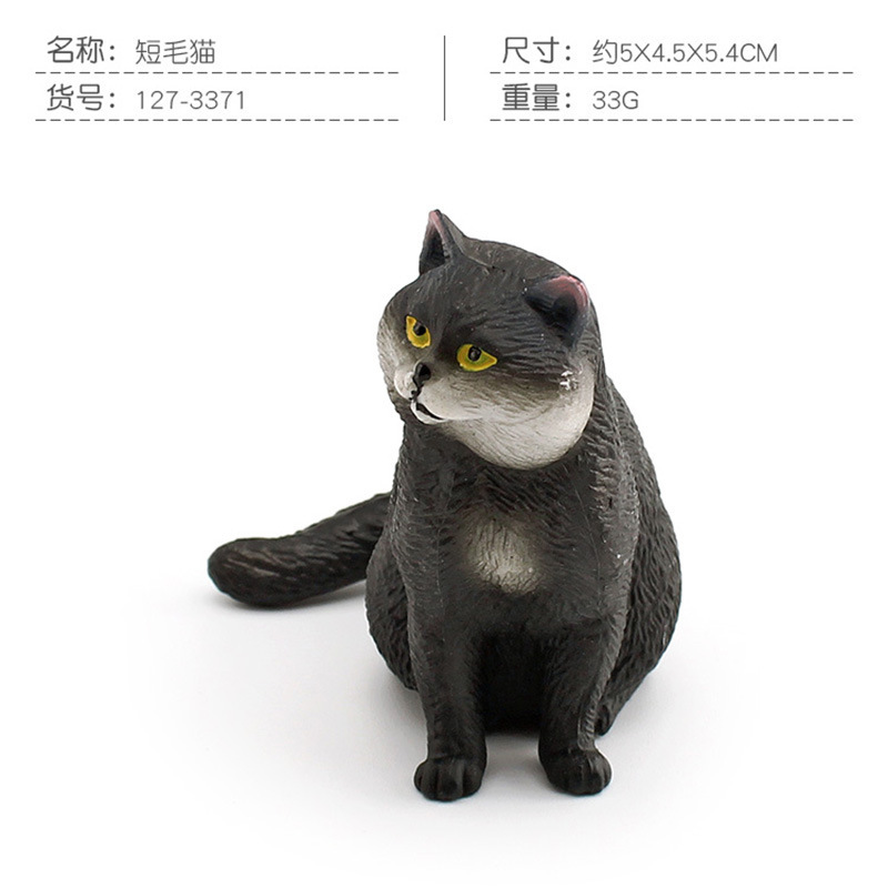Pl127 - 3371 gato de pelo corto 33G