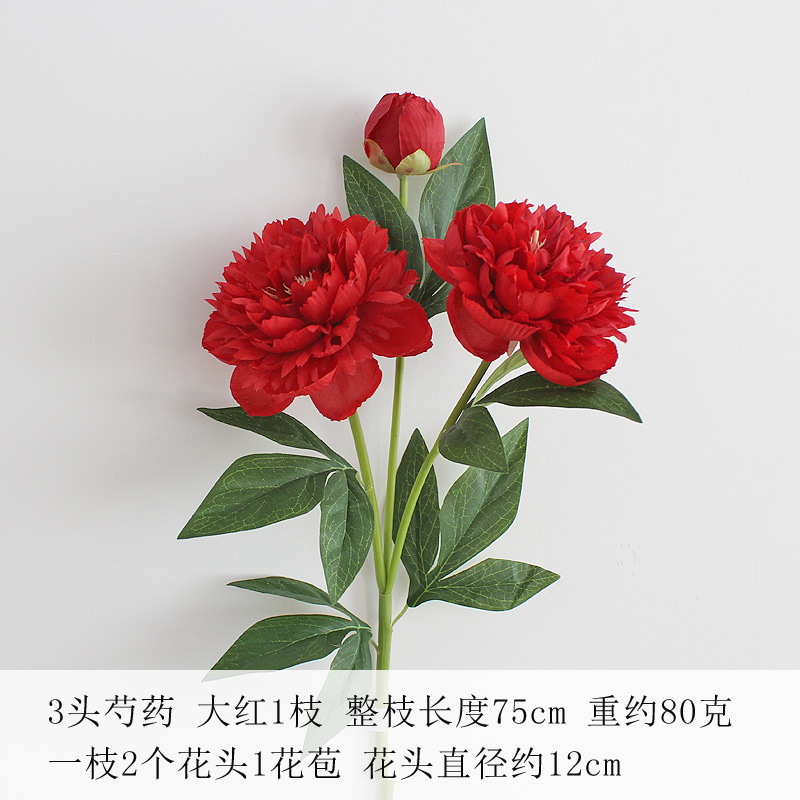 레드