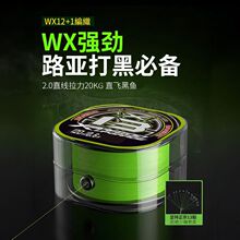 �߶��M��12+1��оygkpe���׏���឴����R�hͶpe��13���^�z�~��