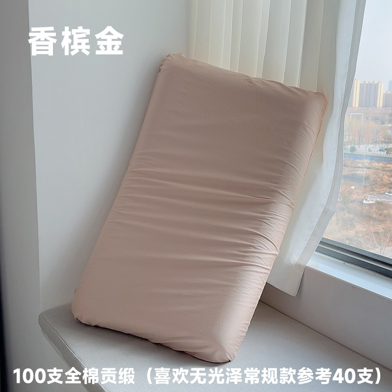100棉亜星球深睡眠記憶枕pro枕カバー70x42x10シングル家庭用純綿枕カバー輪|undefined
