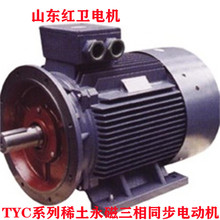 山东厂家直供 TYC250-8/30KW 稀土永磁三相同步电动机 质量保障