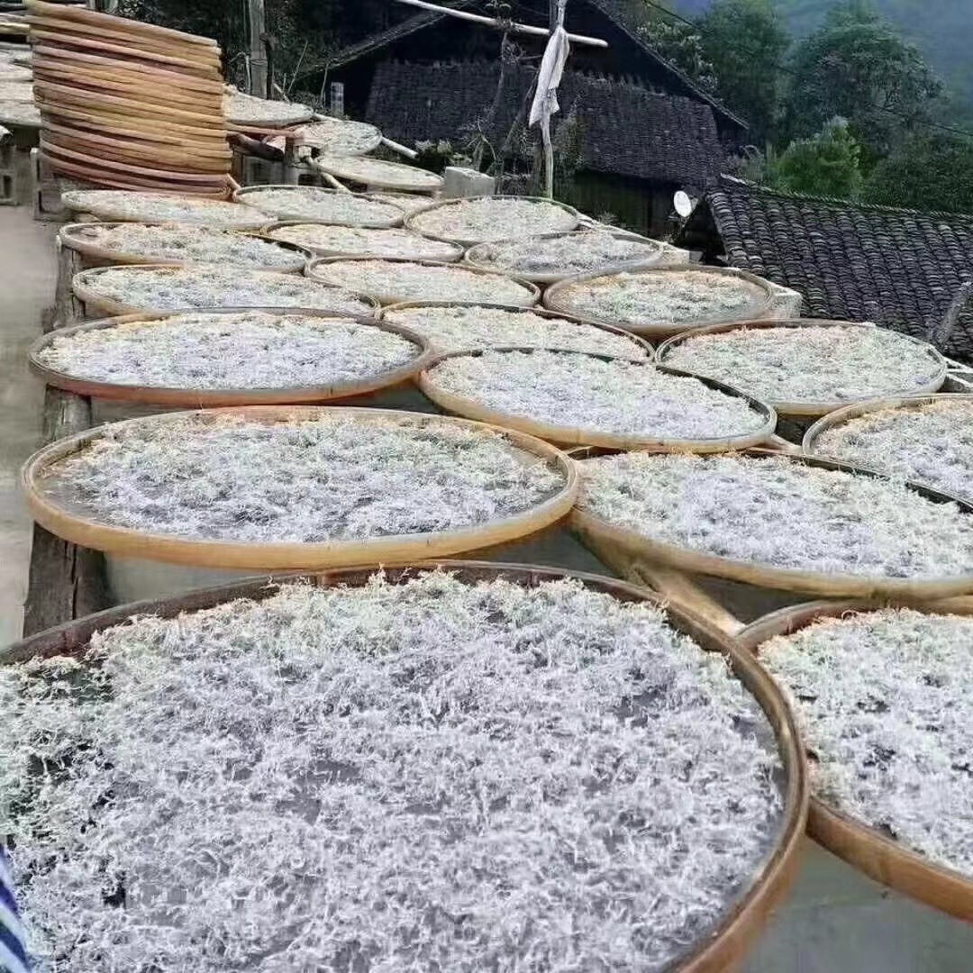 莓茶張家界高山500g土家茶永順嫩芽尖莓茶龍鬚藤茶高海拔湘西野茶