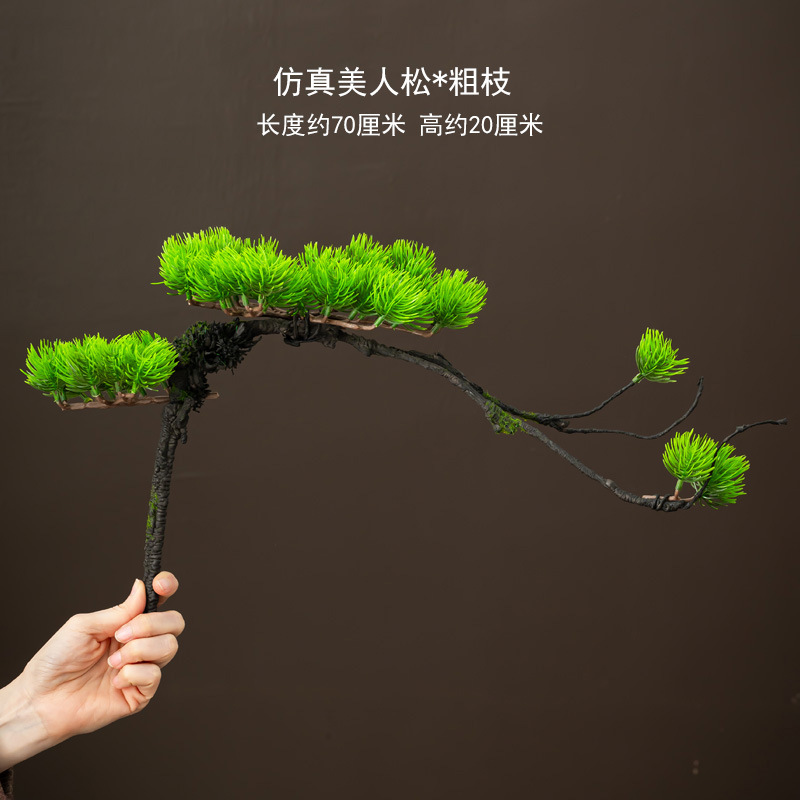 아름다움 소나무 가지