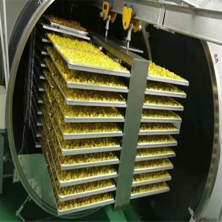 西瓜丁柠檬片低温干燥机 海产品真空冻干设备   馄饨水饺冻干机