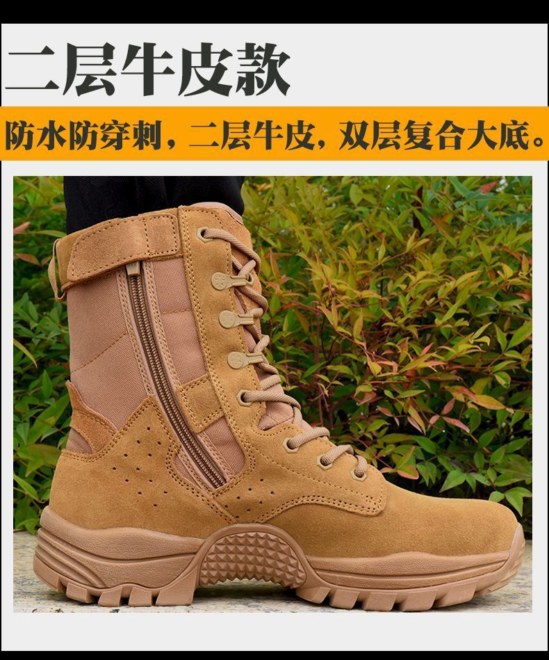 a2817b81-abcc-49b9-88e6-1d739c7faba5.jpe