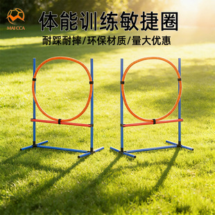 Ȯ����Ӗ�����ﹷ�ϵKӖ������Ӗ���������U����Ȧ�����h�@�U�`��