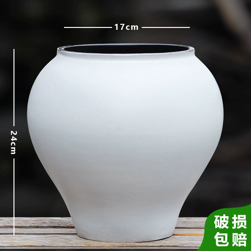 Большой суккулентный керамический цветочный горшок, простой чистый белый комнатный зеленый цветок, бонсай бугенвиллии, фиолетовый песок, дышащая глина, большой цветочный горшок