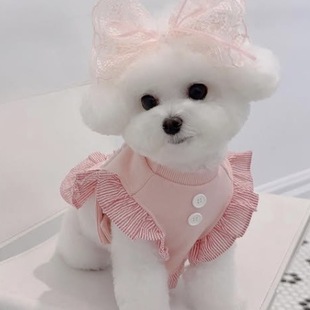 ���ķ�ɫ����С��Ȯ�R����˹���ܹ�����߅����ȹ�B��ȹС��Ȯ����