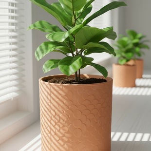 �t�ջ���������m����Gֲ͸���ش�̖���s����������ˮ����������