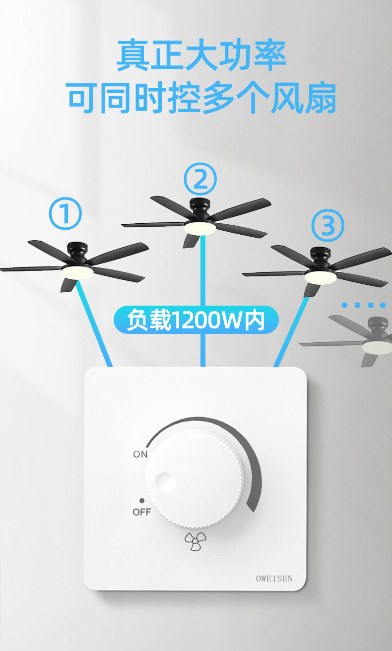 Speed ​​switch (1000w)