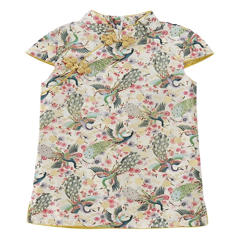 Niñas verano cheongsam estilo chino retro mejorado Tang traje ropa de los niños vestido verano image 1