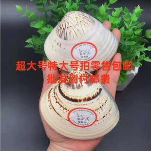 ���Ϻ��������o��˪���쳣��������Ѹ���������ʽ�����������ʹ�